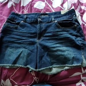 Brand New Jean Shorts